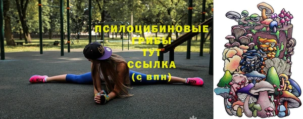 тгк Краснослободск