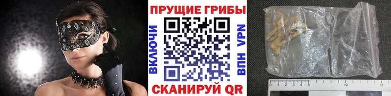 Купить где  Димитровград  Галлюциногенные грибы MAGIC MUSHROOMS 